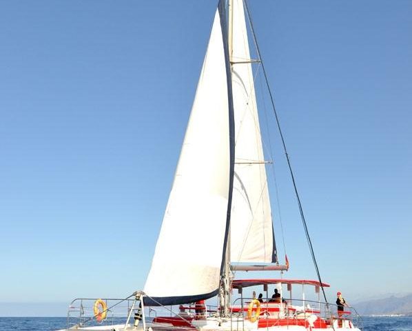 White Paradise Catamarán en Tenerife – Excursión a Los Gigantes - 910  