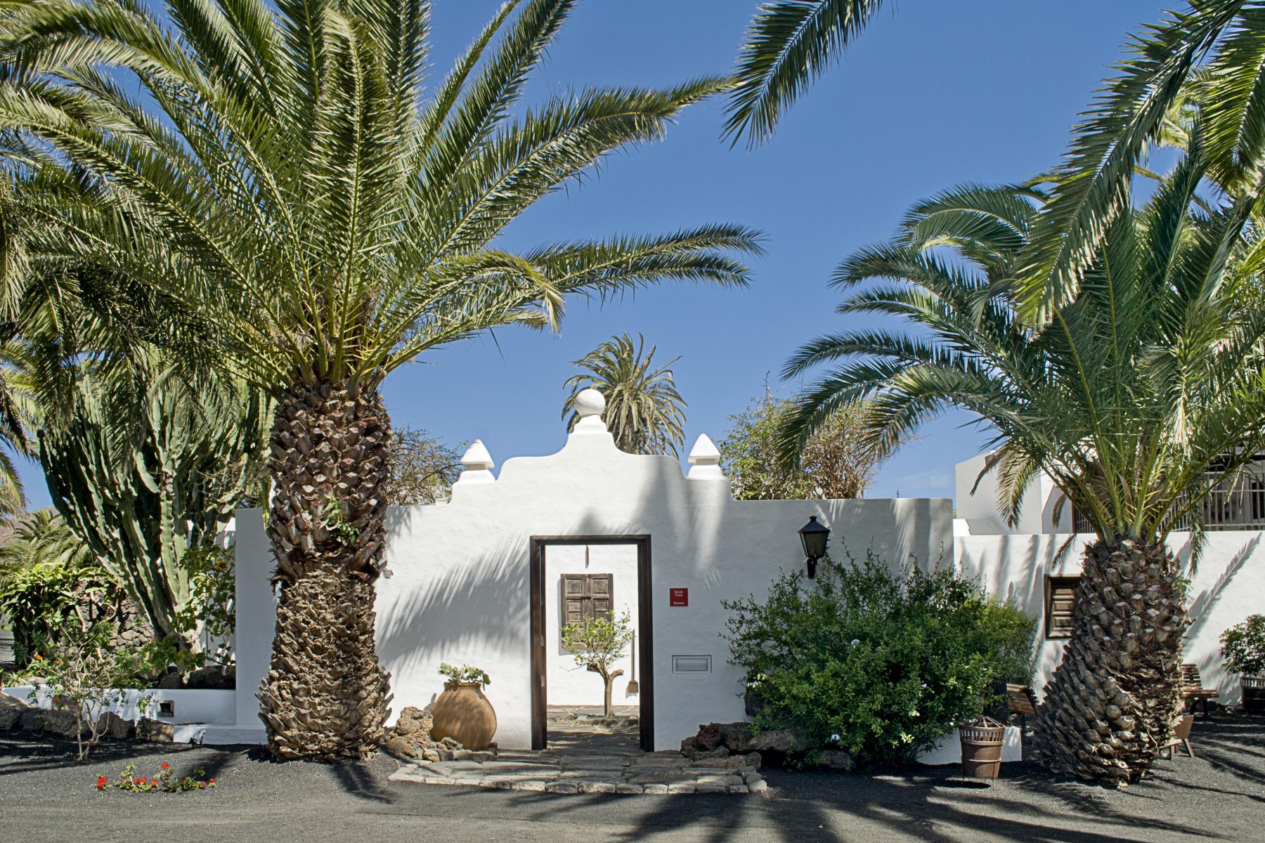 Upptäck skönheten i Caleta de Famara på Lanzarote