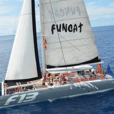 catamaran tour with freebird to los gigantes - Excursiones en barco desde Puerto Santiago
