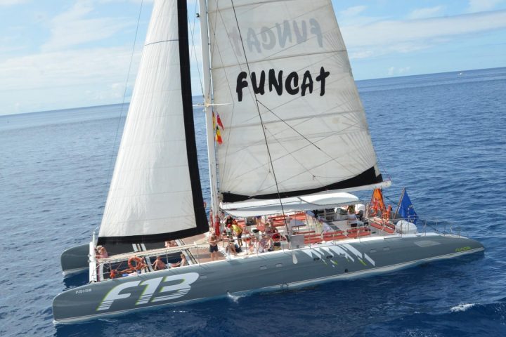 Catamaran tour in Tenerife naar Los Gigantes met Freebird - 786  