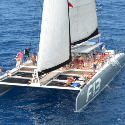 			catamaran tour with freebird to los gigantes - Excursiones en barco desde La Caleta Tenerife