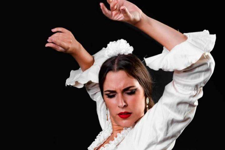 Espectáculo nocturno em Tenerife Sul: Flamenco Sala Coliseo - 11358  