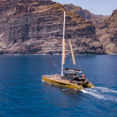 - Freebird Catamarán Tenerife: Ballenas, Delfines, Los Gigantes y la Bahía de Masca