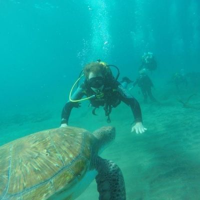 			diving in tenerife south - Balíčky potápania na Tenerife