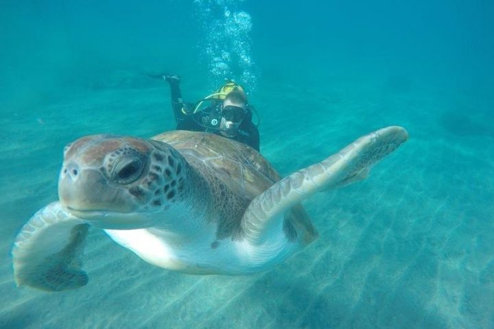 Tenerife PADI Advanced Open Water Diver-kursus - 1229  