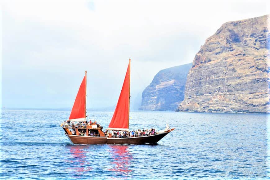 Neptuno Tenerife Boat Trip to Los Gigantes form North and South (15)