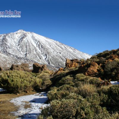Teide half day tour in tenerife with cable car or without - Teide Volcano