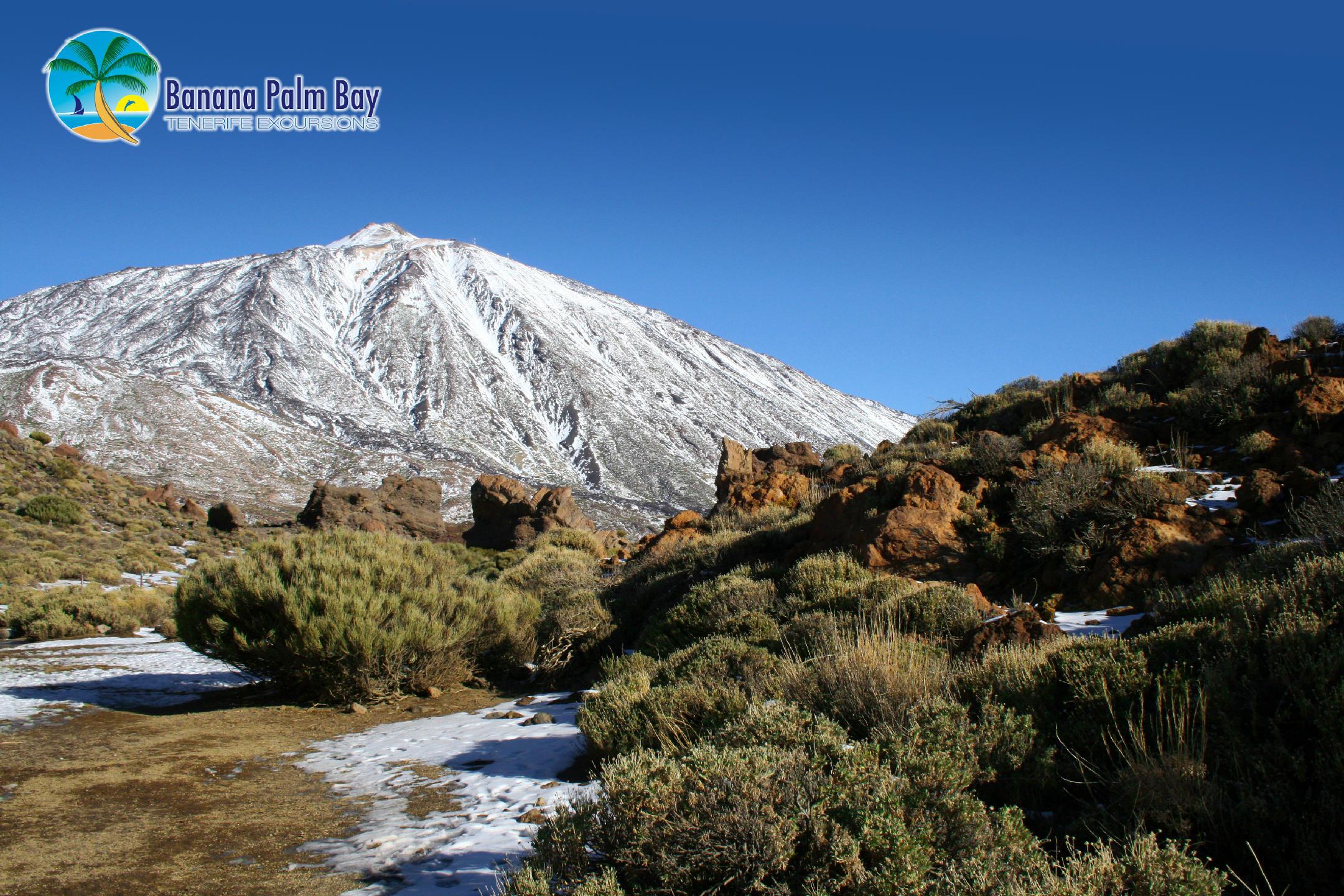 Teide half day tour in tenerife with cable car or without