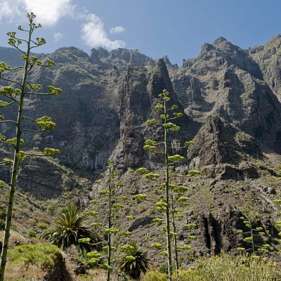 			Tenerife Trekking Masca Canyon - Tenerife Trekking v kaňonu Masca