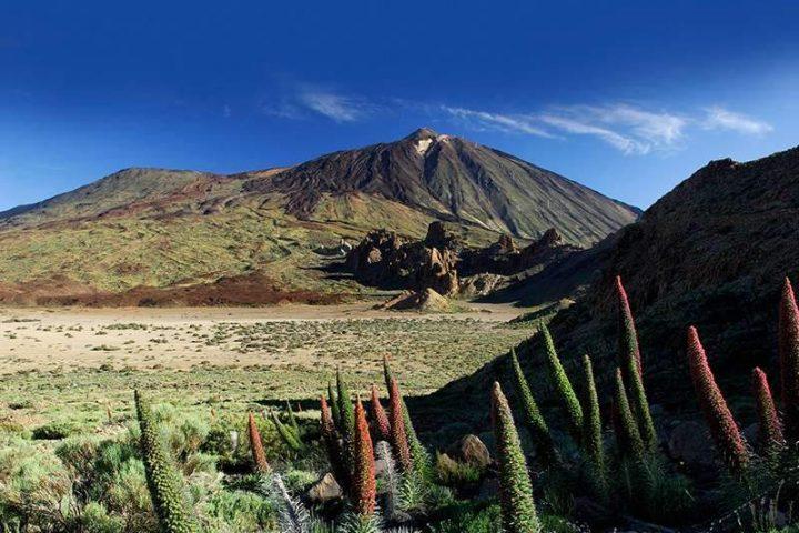 Excursion Privada al Parque Nacional del Teide - 11446  
