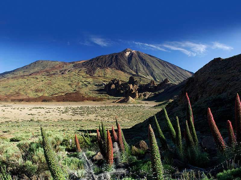 Private Excursion to Teide (2)