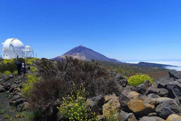 Private Excursion to the Teide National Park - 11447  