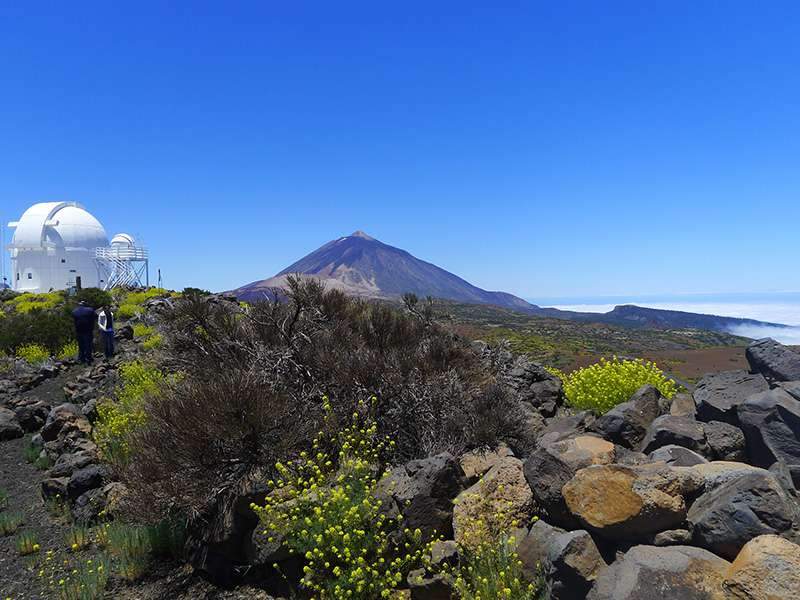 Private Excursion to Teide (4)