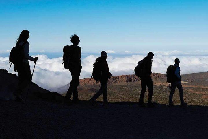 Walking ascent to the Teide with permission (Private excursion) - 11400  