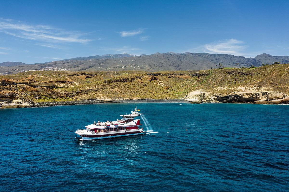 Royal Delfin Tenerife Catamaran Tour with Transport (7)