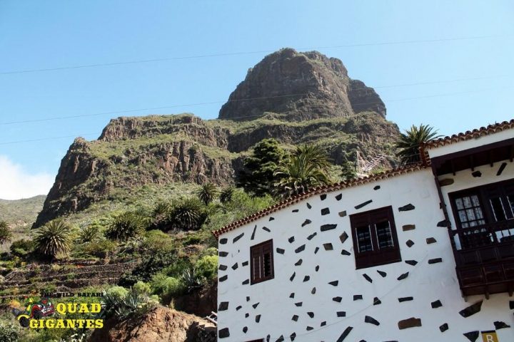 Tenerife Quad Safari: Masca + gozd - 1179  