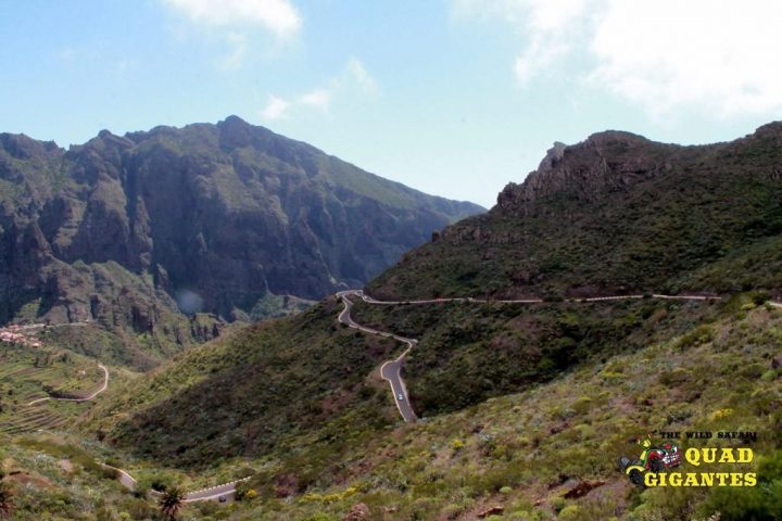 Tenerife Quad Safari: Masca + gozd - 1180  