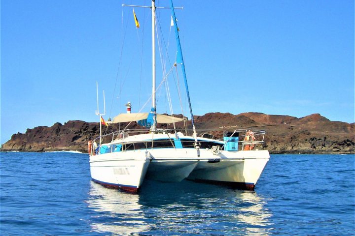 Private Catamaran Charter in Tenerife - 564  