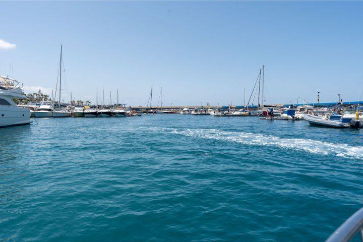 Descubra Tenerife com o Bellamar Boat Charter - 27831  