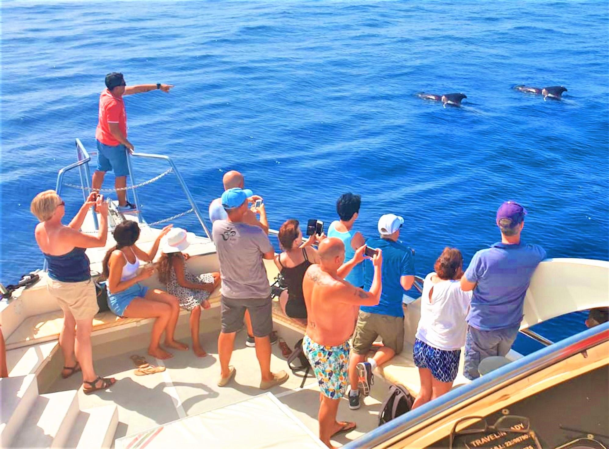 boat charter los Cristianos Tenerife for groups (4)