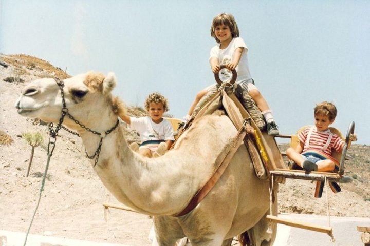 Camel Park à Tenerife Sud - 1146  