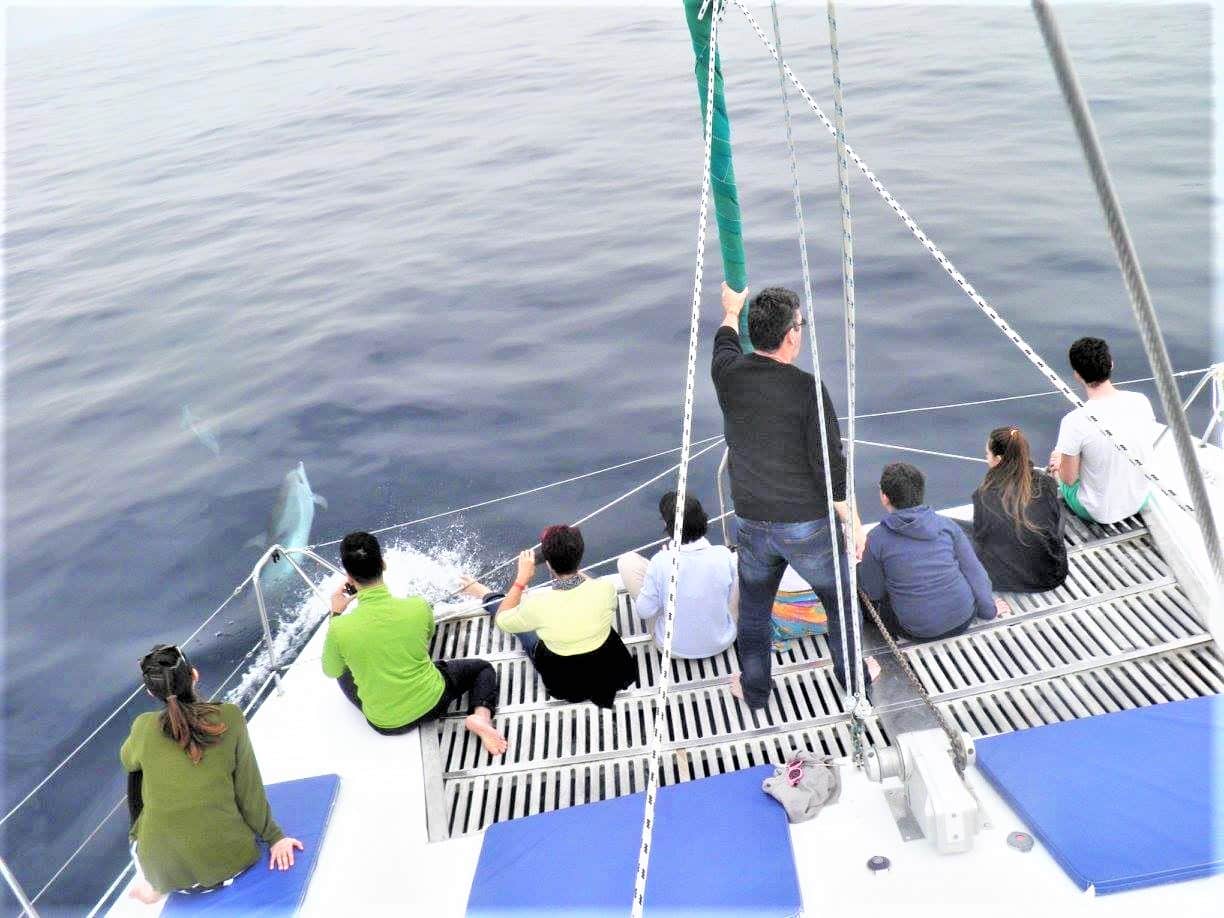 Marhaba catamaran charter los gigantes tenerife (1)-min