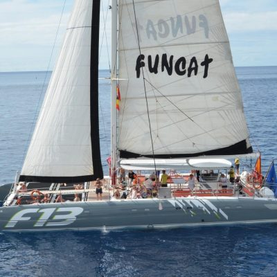 
				catamaran tour with freebird to los gigantes