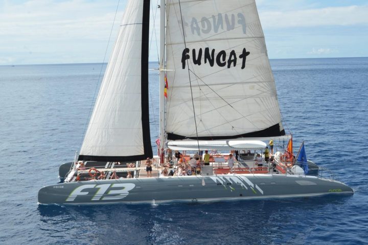 Tour en catamaran à Ténérife pour Los Gigantes avec Freebird - 785  