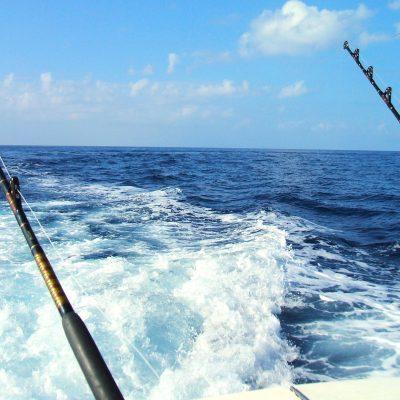 deep sea fishing in Costa Adeje - Excursiones privadas y compartidas de Pesca desde Costa Adeje