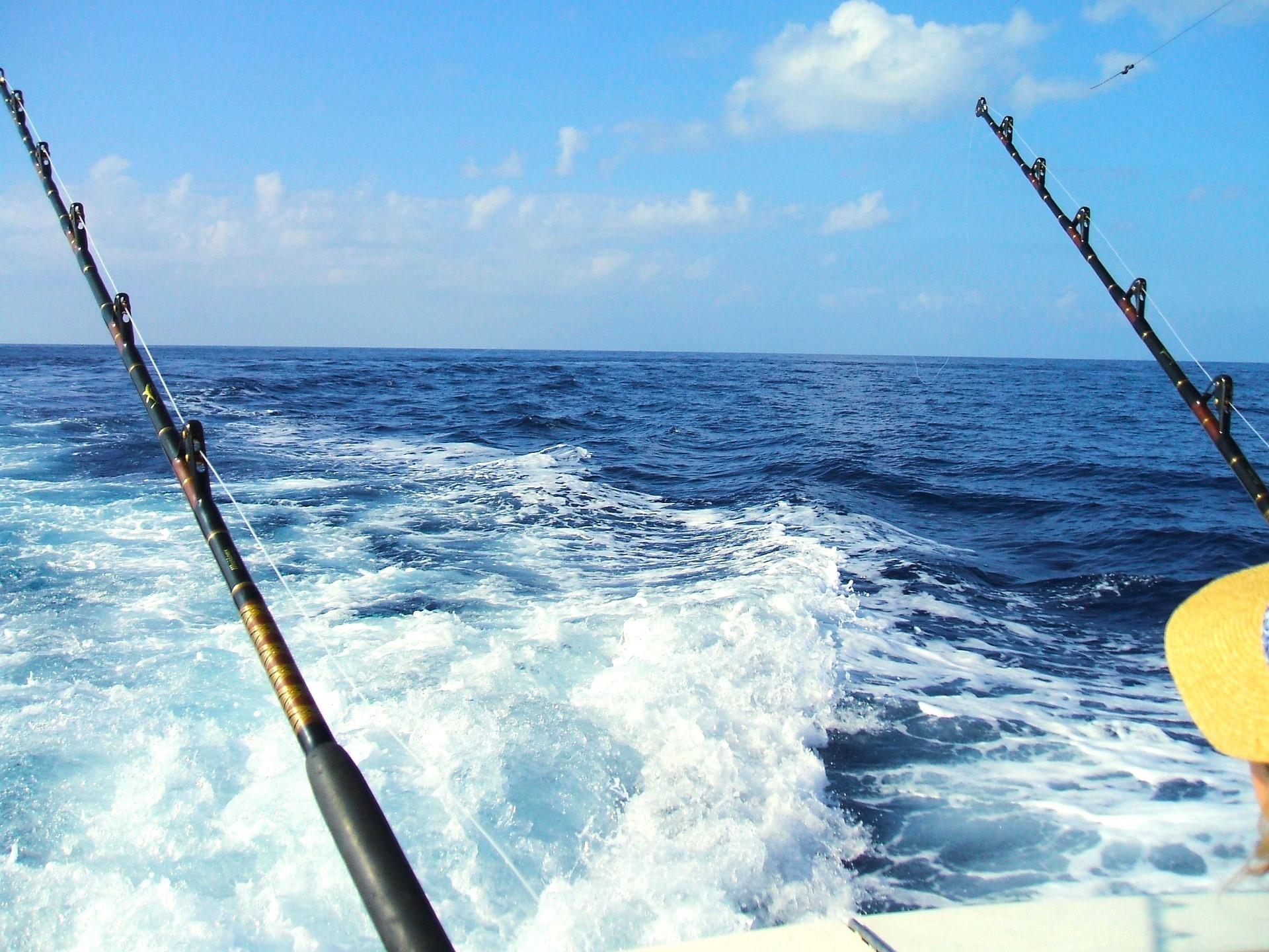 Exclusive and Shared Fishing Boat Tours in Costa Adeje