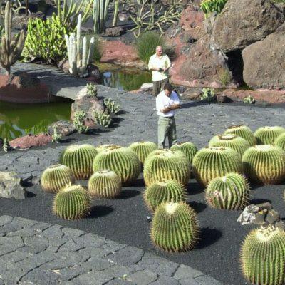 jardin de cactus lanzarote - El Jardín de Cactus: Sanctuary of Thorns and Beauty on Lanzarote