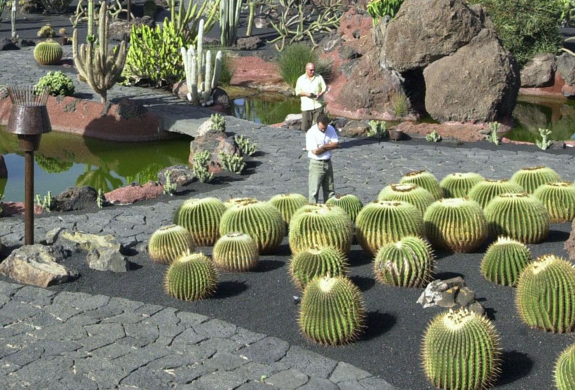 El Jardín de Cactus: Santuário de espinhos e beleza em Lanzarote