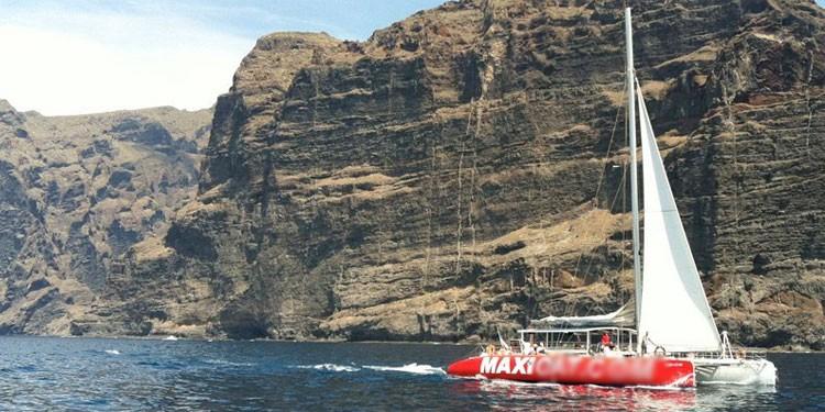Whale watching in Los Gigantes