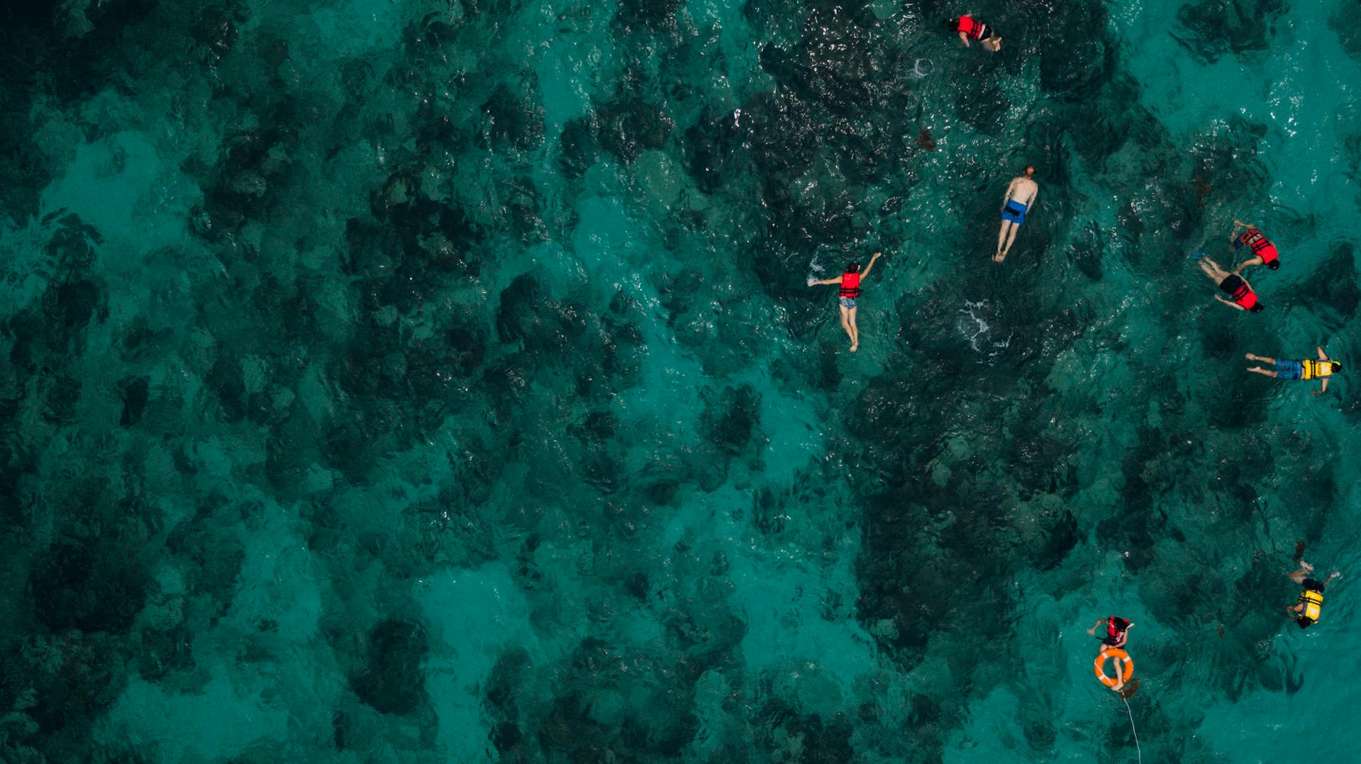 snorkeling in Gran Canaria aerial view