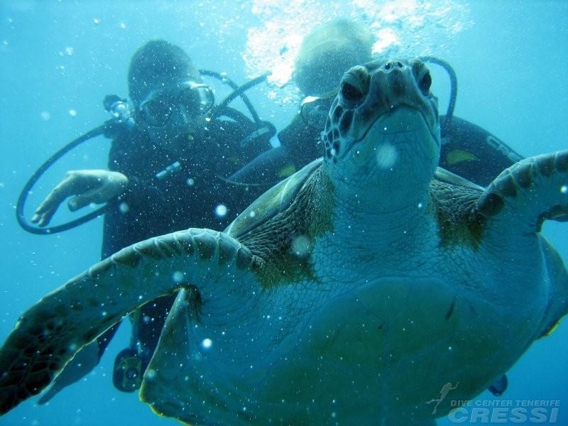 Tenerife PADI Advanced Open Water Diver-cursus