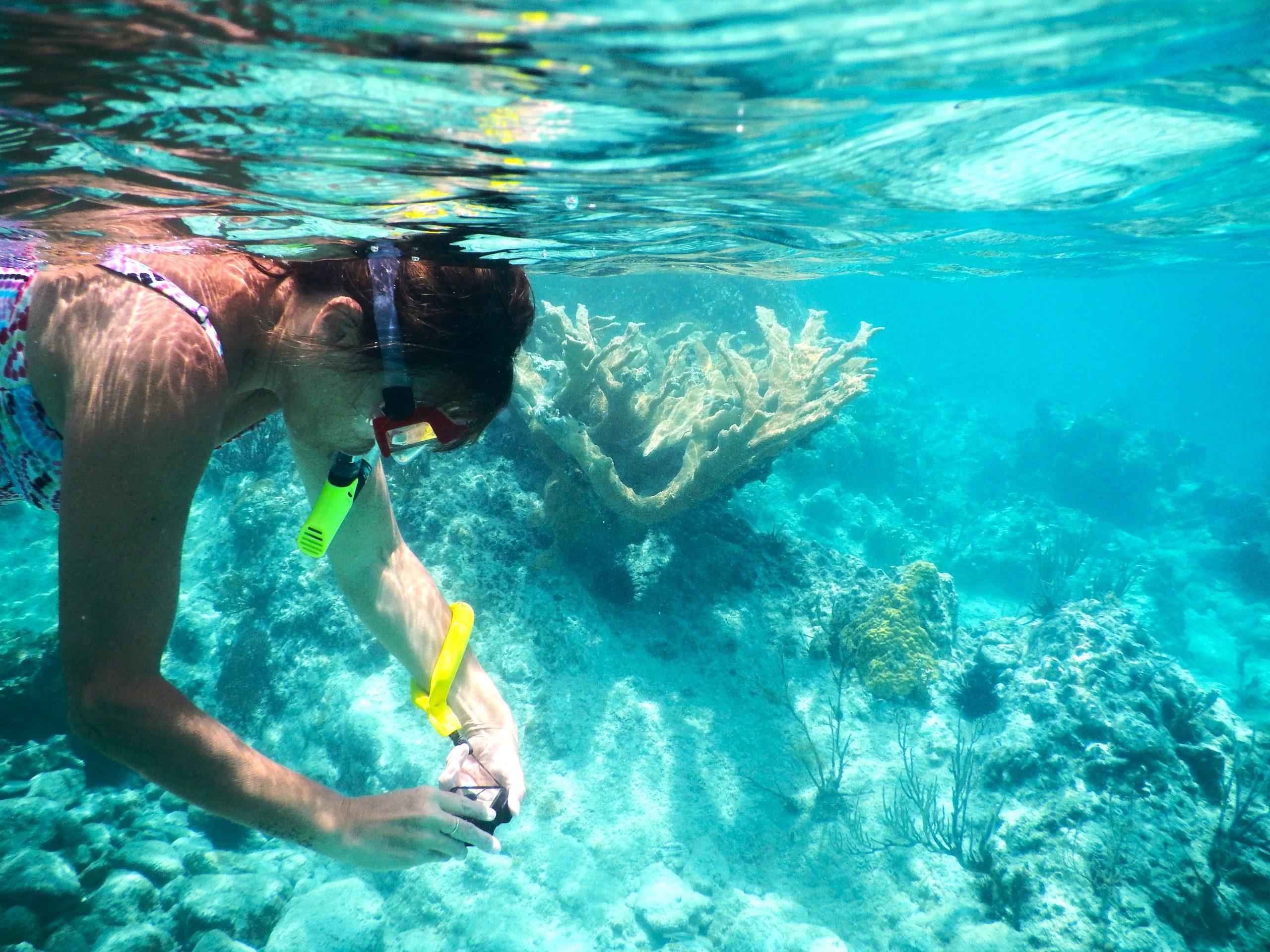 Labākās vietas snorkelēšanai Tenerifē