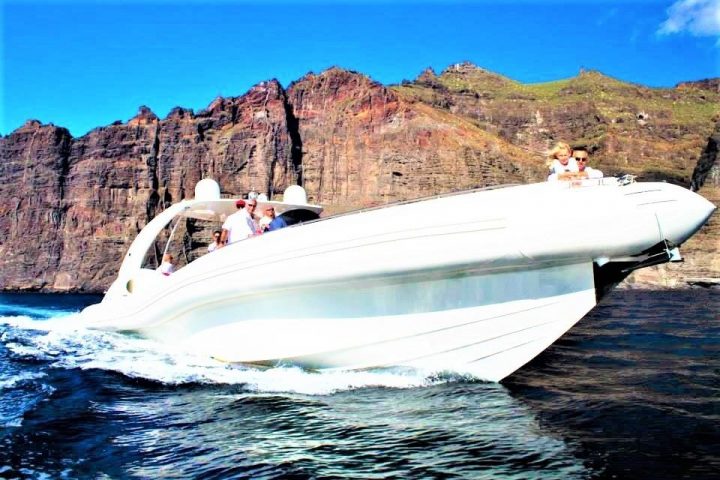 3 timers udflugt med speedbåd på Tenerife - 551  