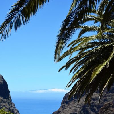 things to do in tenerife - Ting at gøre i La Caleta